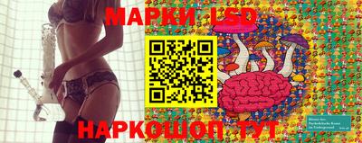 спиды Кингисепп
