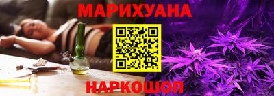 спиды Кингисепп