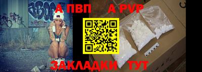 спиды Кингисепп