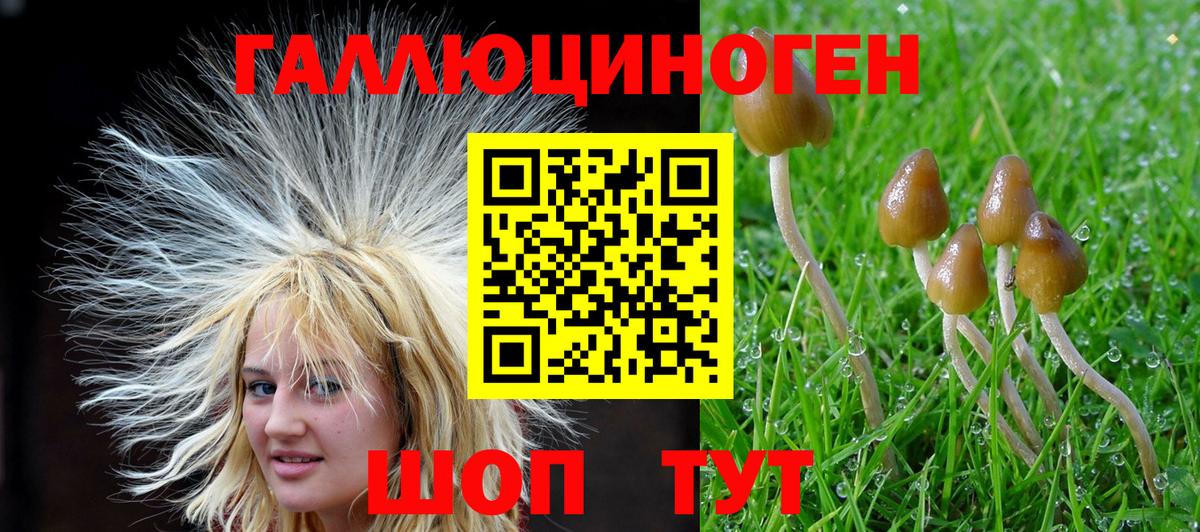 Галлюциногенные грибы мицелий Краснотурьинск
